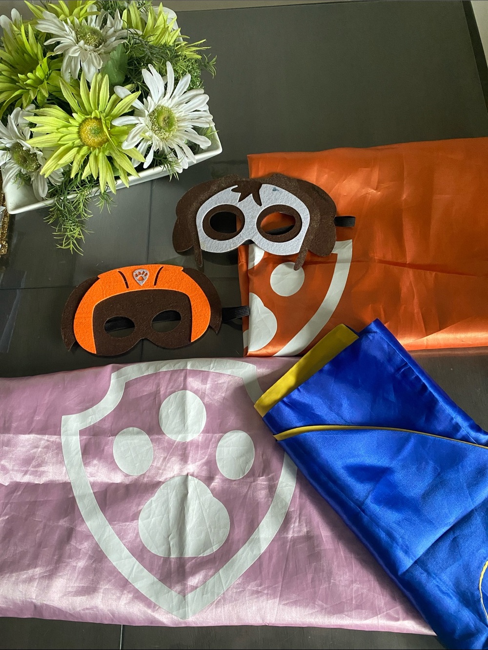 Paw Patrol Mask & Cape LOT Cosplay Dressup Halloween Costume Skye Zuma Chase